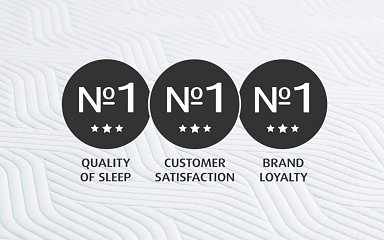 N1 in customer satisfaction